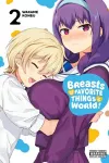 Breasts Are My Favorite Things in the World!, Vol. 2 cover