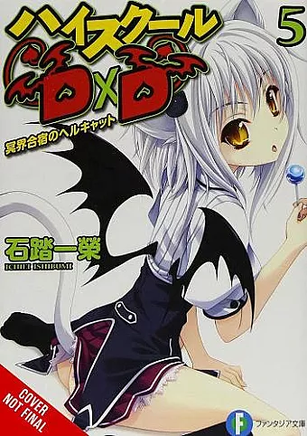 High School DxD, Vol. 5 (light novel) cover