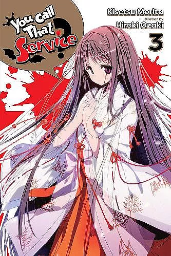 You Call That Service?, Vol. 3 (light novel) cover