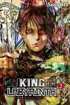 King of the Labyrinth, Vol. 2 (light novel) cover