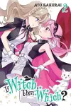 If Witch, Then Which?, Vol. 2 cover