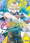 Karneval, Vol. 12 cover