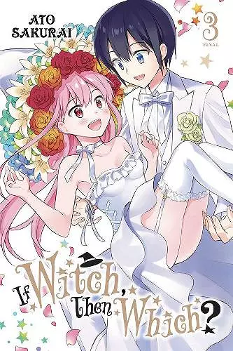 If Witch, Then Which?, Vol. 3 cover