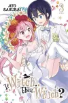 If Witch, Then Which?, Vol. 3 cover