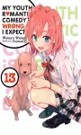 My Youth Romantic Comedy Is Wrong, As I Expected, Vol. 13 (light novel) cover