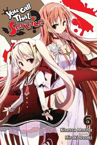 You Call That Service?, Vol. 6 (light novel) cover