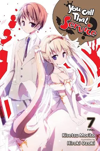 You Call That Service?, Vol. 7 (light novel) cover