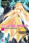 Accel World, Vol. 15 (light novel) cover