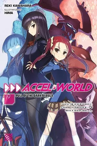 Accel World, Vol. 19 (light novel) cover
