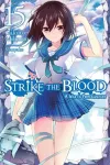 Strike the Blood, Vol. 15 (light novel) cover