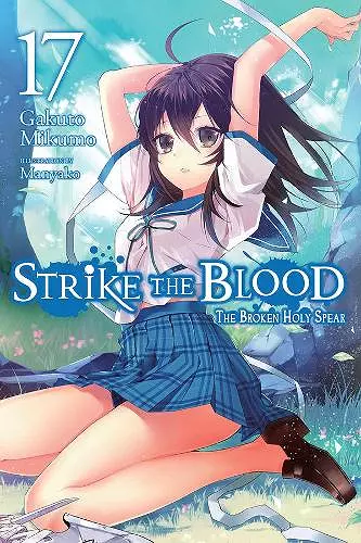 Strike the Blood, Vol. 17 (light novel) cover
