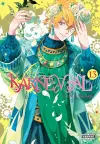 Karneval, Vol. 13 cover