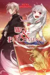 Wolf & Parchment: New Theory Spice & Wolf, Vol. 6 (light novel) cover