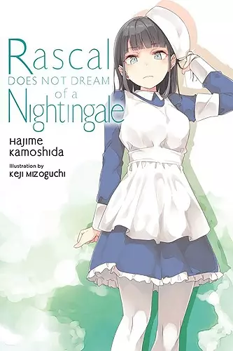 Rascal Does Not Dream, Vol. 11 (light novel) cover