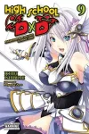 High School DxD, Vol. 9 (light novel) cover