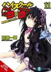 High School DxD, Vol. 11 (light novel) cover