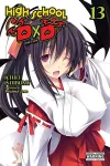 High School DxD, Vol. 13 (light novel) cover
