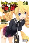 High School DxD, Vol. 14 (light novel) cover