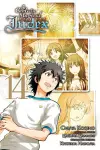 A Certain Magical Index, Vol. 14 (manga) cover