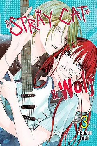 Stray Cat & Wolf, Vol. 3 cover