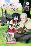 Saint? No! I'm Just a Passing Beast Tamer!, Vol. 4 cover