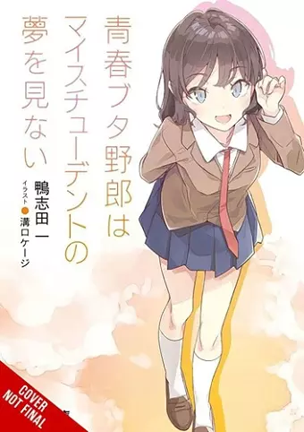 Rascal Does Not Dream, Vol. 12 (light novel) cover