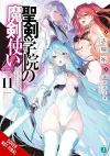 The Demon Sword Master of Excalibur Academy, Vol. 11 (light novel) cover