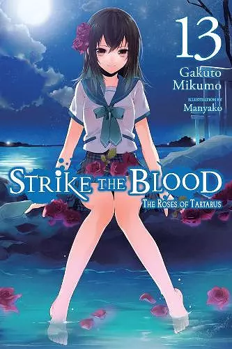Strike the Blood, Vol. 13 (light novel) cover