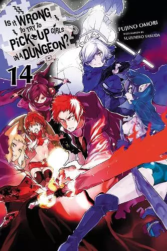 Is It Wrong to Try to Pick Up Girls in a Dungeon?, Vol. 14 (light novel) cover