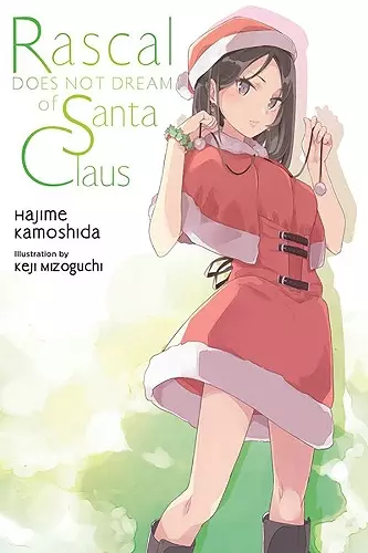 Rascal Does Not Dream of Santa Claus (light novel) cover