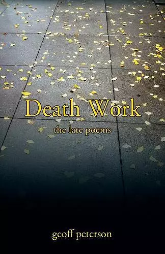 Death Work cover