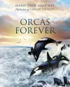 Orcas Forever cover