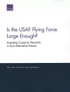 Is the USAF Flying Force Large Enough? cover