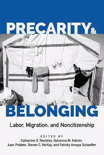 Precarity and Belonging cover