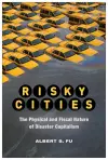 Risky Cities cover