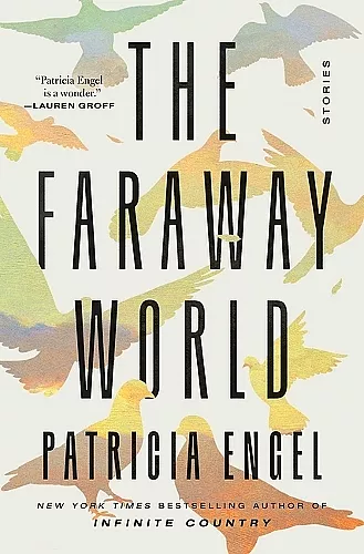 The Faraway World cover