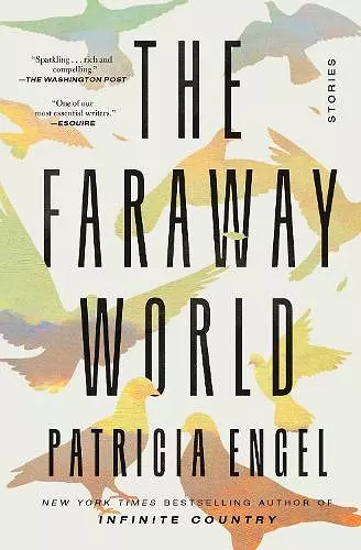 The Faraway World cover