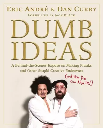 Dumb Ideas cover