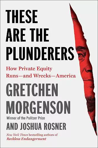 These Are the Plunderers cover