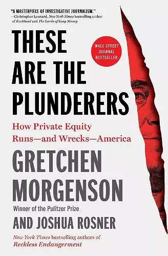 These Are the Plunderers cover