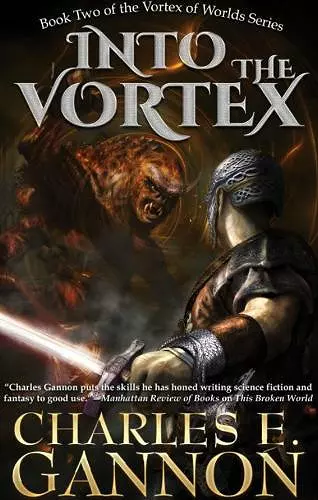 Into the Vortex cover