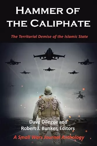 Hammer of the Caliphate cover