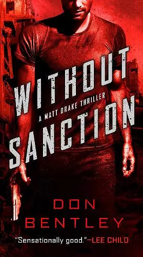 Without Sanction cover