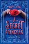 A Secret Princess cover