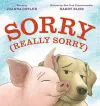 Sorry (Really Sorry) cover