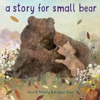 Story for Small Bear cover