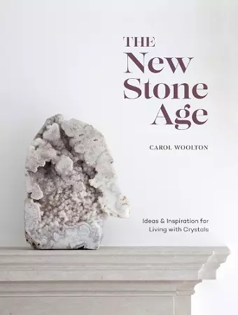 The New Stone Age cover