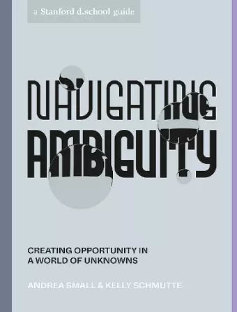 Navigating Ambiguity cover