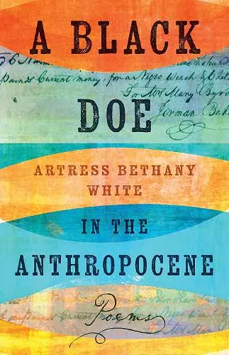 A Black Doe in the Anthropocene cover