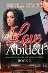 Love Abided cover